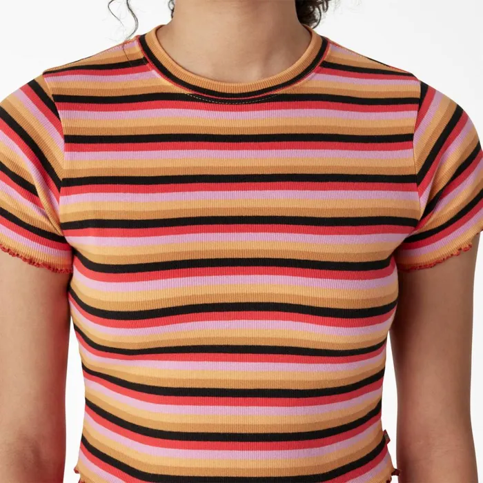 Dickies Cropped Tops Women039s Striped Cropped Baby TShirt Orange Explorer Stripe Orange Explorer Stripe axs 8211 Women Dickies Cropped Tops Women039s Striped Cropped Baby TShirt Orange Explorer Stripe Orange Explorer Stripe axs 8211 Women