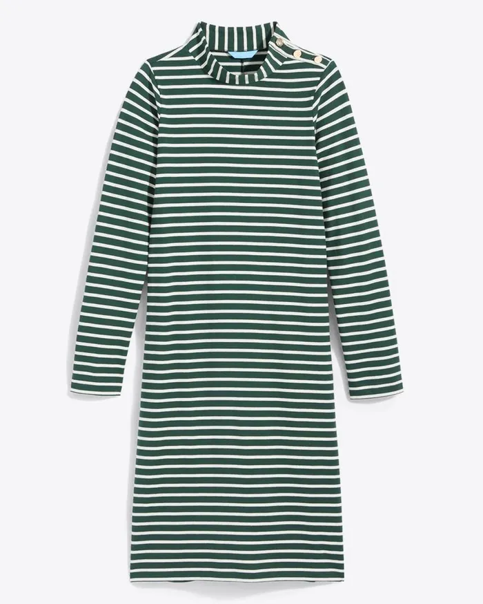 Draper James Extended Sizes Women Elsie Turtleneck Dress In Green Stripe