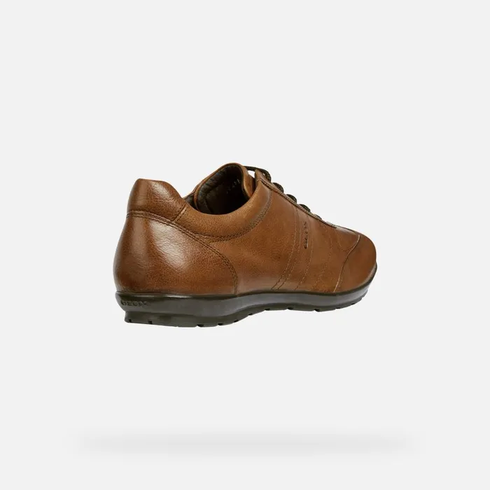 Geox Casual Shoes SYMBOL Men039s Browncotto Leather Shoes Geox Brown Cotto 8211 Man
