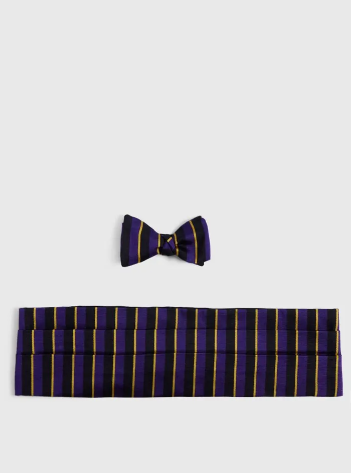Men Paul Stuart Ties Bow Tie and Cummerbund Set Purpleyellow
