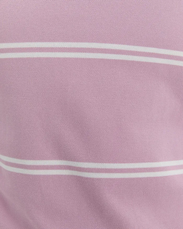 Men Sportscraft TShirts and Polos Hall Polo Dusty Pink