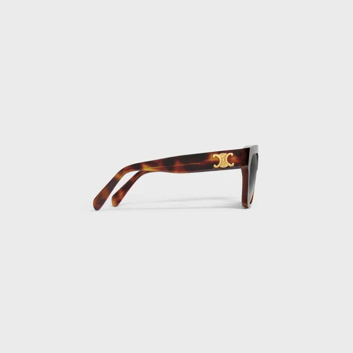 Triomphe 09 Sunglasses In Acetate Classic Havana Women CELINE SUNGLASSES