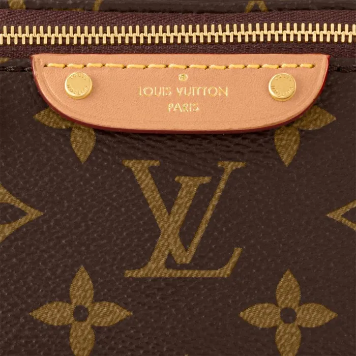 Women Bumbag Louis Vuitton Louis Vuitton M82335 Mini Bumbag 8211 Louis Vuitton Handbag Store