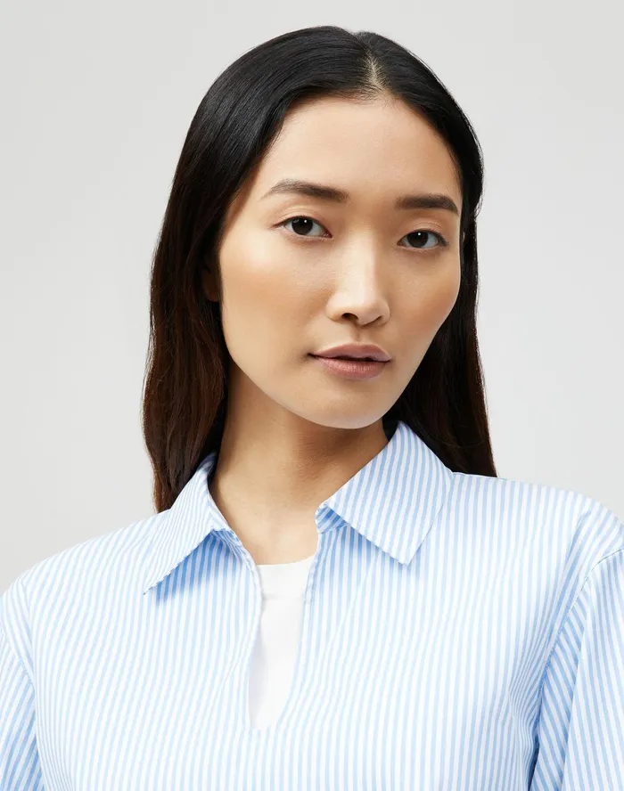 Women Lafayette 148 New York Blouses and Shirts Petite Pelham Shirt In KindCotton Courtland Stripe Fresh Blue Multi