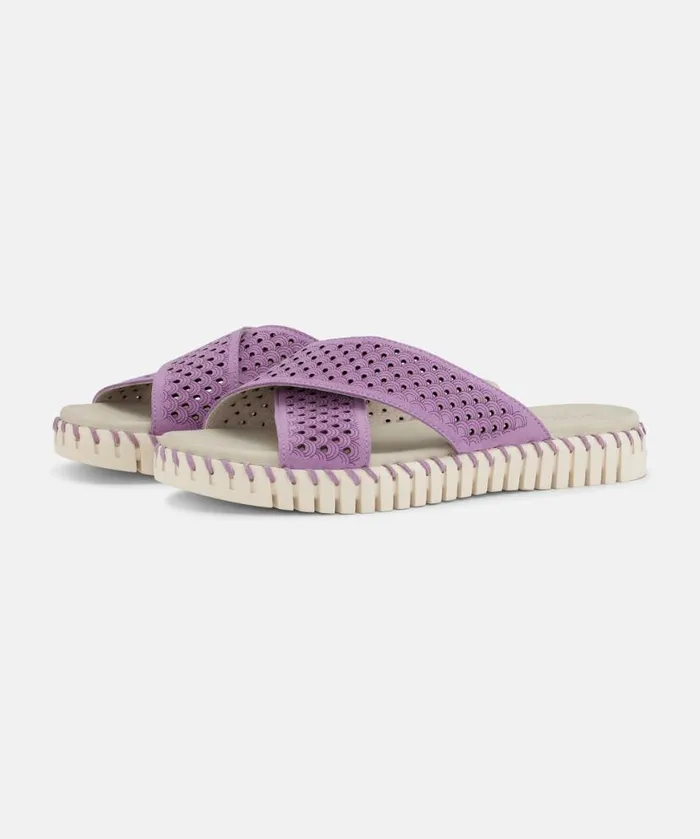 Women Sandals Ilse Jacobsen Sandals 8211 Frosting