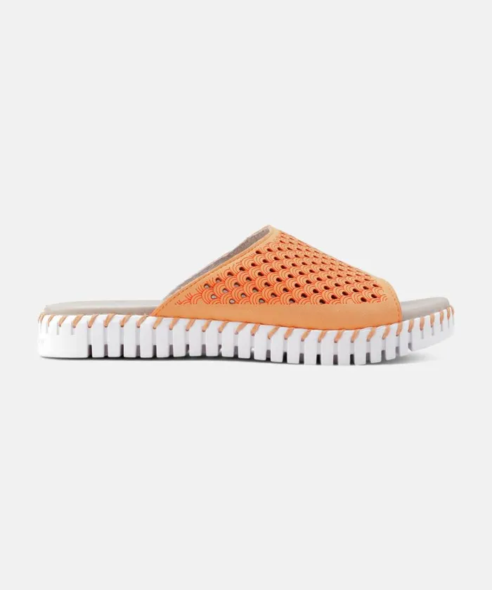 Women Sandals Ilse Jacobsen Sandals 8211 Mango Sorbet Women Sandals Ilse Jacobsen Sandals 8211 Mango Sorbet